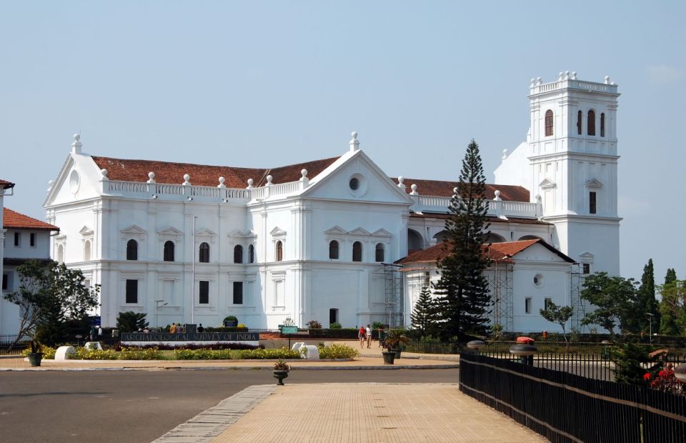 St Francis Of Assisi